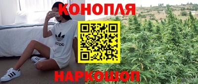 круглые Ставрополь