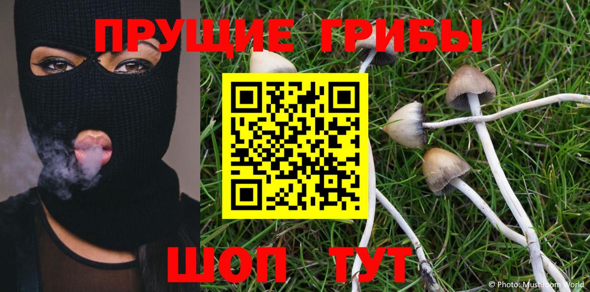Галлюциногенные грибы Psilocybe  Вход с VPN  Михайловск 