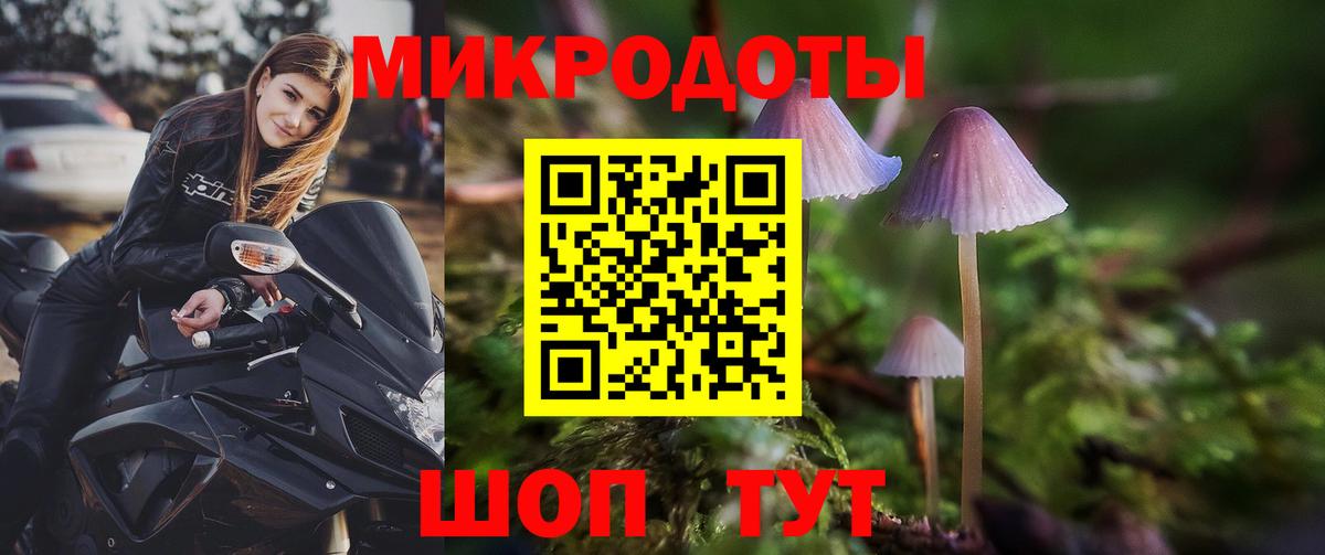 Псилоцибиновые грибы Psilocybine cubensis Михайловск